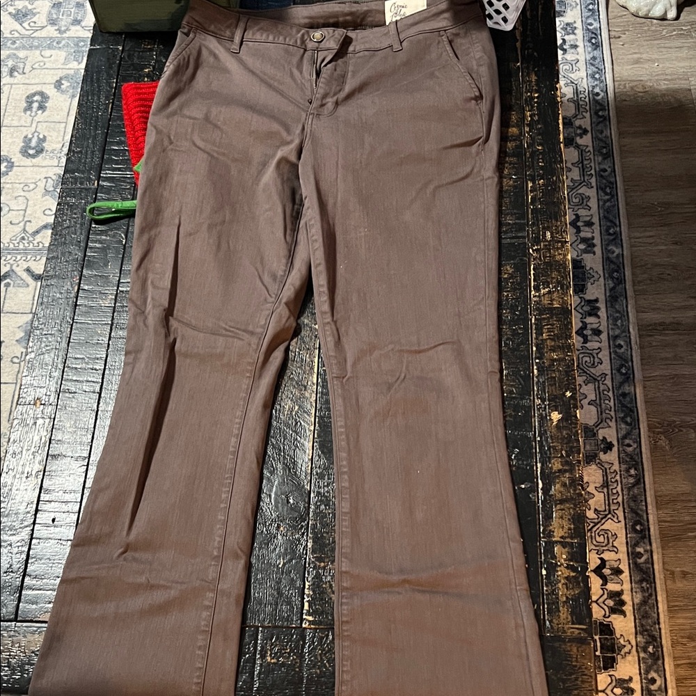 Chic Brown Flare Women's Jeans